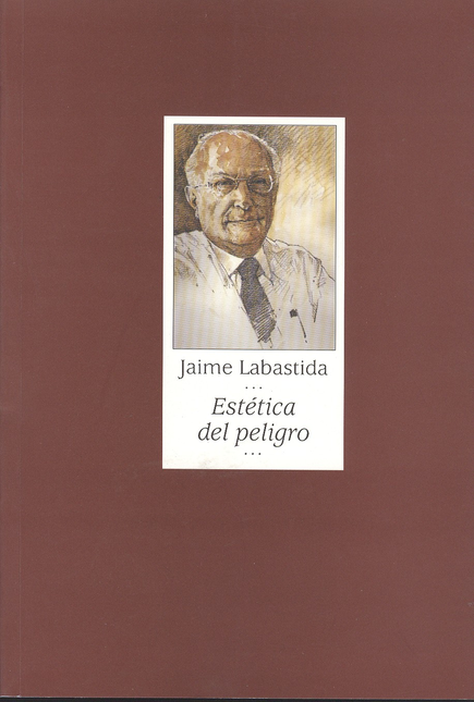 Portada de ESTETICA DEL PELIGRO
