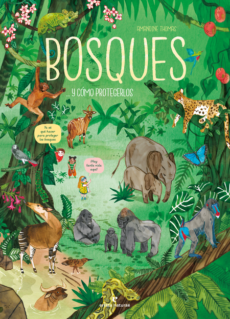Portada de BOSQUES Y COMO PROTEGERLOS
