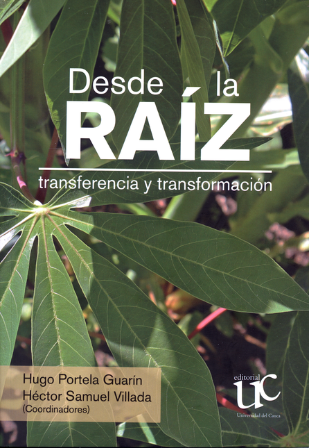 Portada de DESDE LA RAIZ TRANSFERENCIA Y TRANSFORMACION