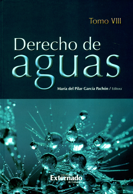 Portada de DERECHO DE AGUAS TOMO VIII