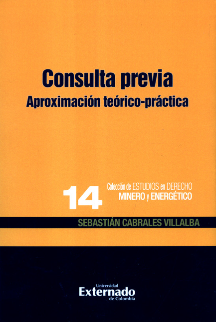 Portada de CONSULTA PREVIA APROXIMACION TEORICO PRACTICA