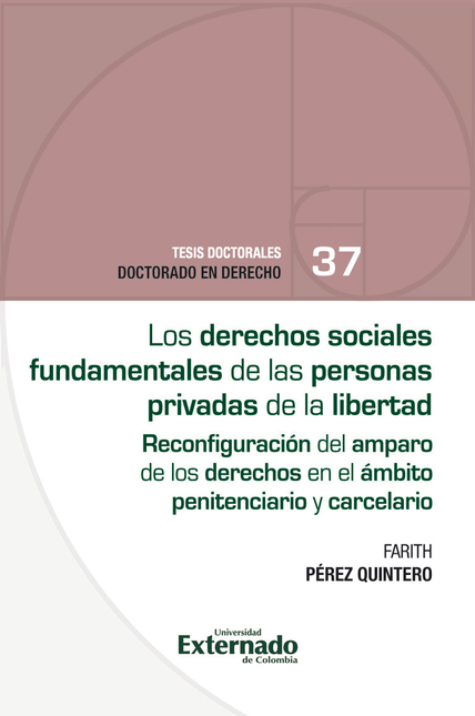 Portada de DERECHOS SOCIALES FUNDAMENTALES DE LAS PERSONAS PRIVADAS DE LA LIBERTAD RECONFIGURACION DEL AMPARO DE LOS DERE