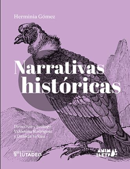 Portada de NARRATIVAS HISTORICAS