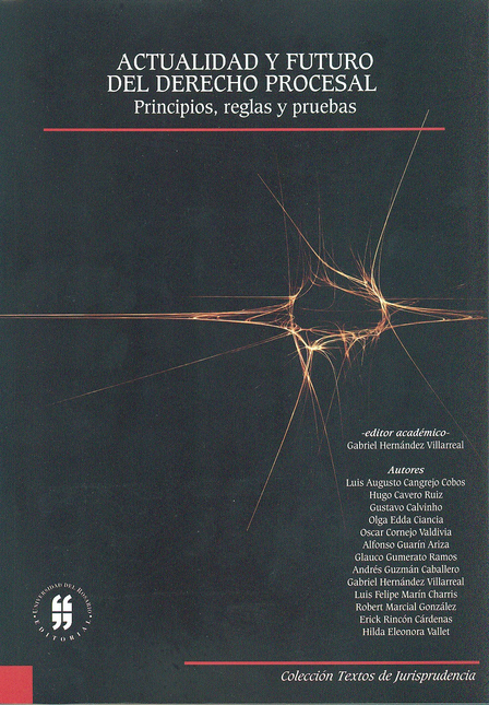 Portada de ACTUALIDAD Y FUTURO DEL DERECHO PROCESAL. PRINCIPIOS, REGLAS Y PRUEBAS