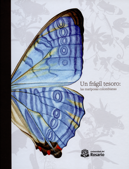 Portada de UN FRAGIL TESORO LAS MARIPOSAS COLOMBIANAS
