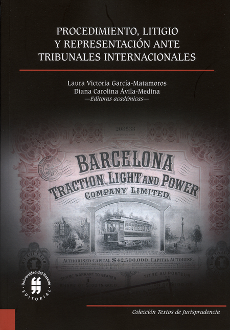 Portada de PROCEDIMIENTO LITIGIO Y REPRESENTACION ANTE TRIBUNALES INTERNACIONALES