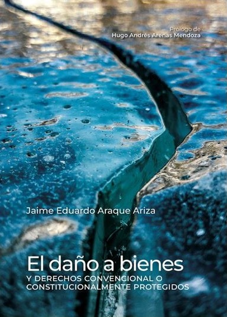 Portada de DAÑO A BIENES Y DERECHOS CONVENCIONAL O CONSTITUCIONALMENTE PROTEGIDOS, EL