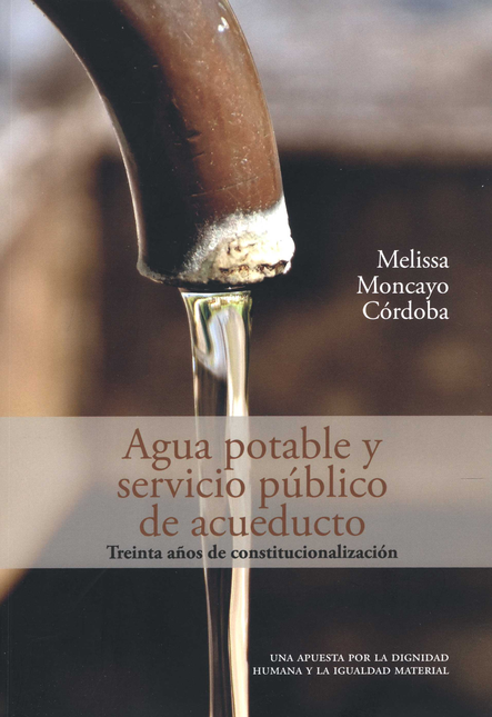 Portada de AGUA POTABLE Y SERVICIO PUBLICO DE ACUEDUCTO TREINTA AÑOS DE CONSTITUCIONALIZACION