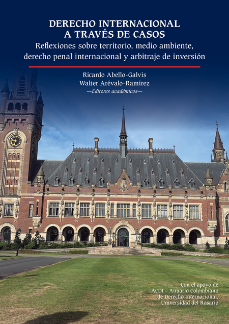 Portada de DERECHO INTERNACIONAL A TRAVES DE CASOS REFLEXIONES SOBRE TERRITORIO MEDIO AMBIENTE DERECHO PENAL