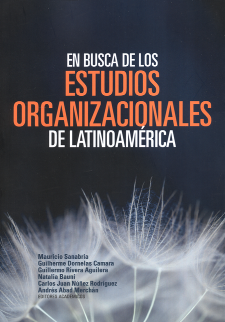 Portada de EN BUSCA DE LOS ESTUDIOS ORGANIZACIONALES DE LATINOAMERICA