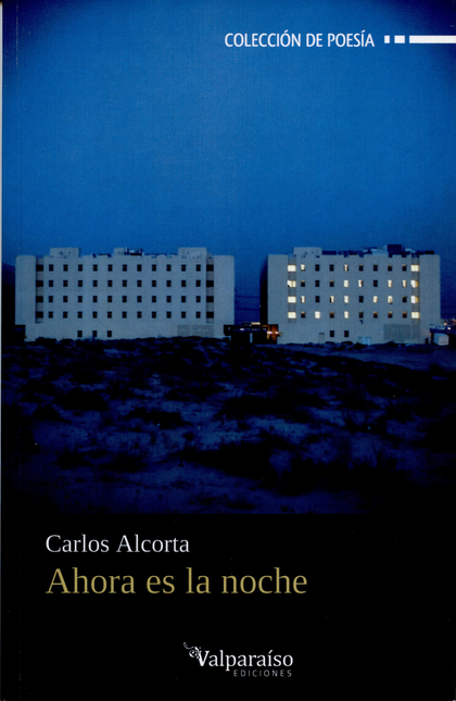 Portada de AHORA ES LA NOCHE
