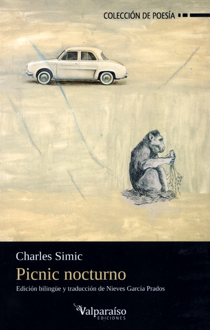 Portada de PICNIC NOCTURNO, EDICION BILINGUE