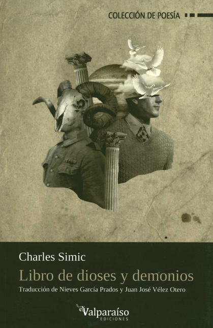 Portada de LIBRO DE DIOSES Y DEMONIOS