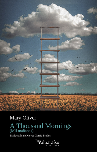 Portada de A THOUSAND MORNINGS de OLIVER, Mary