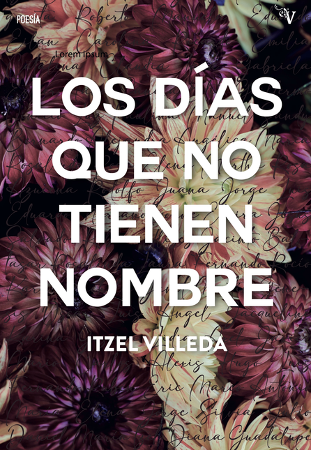 Portada de DIAS QUE NO TIENEN NOMBRE, LOS