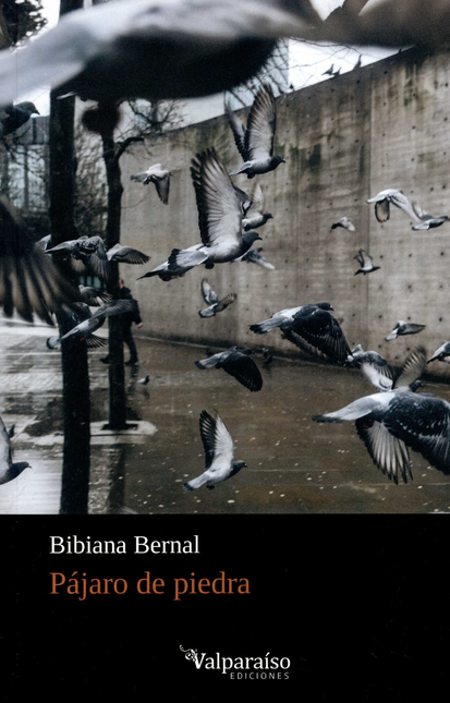 Portada de PAJARO DE PIEDRA de BERNAL, Bibiana
