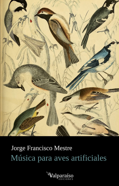 Portada de MUSICA PARA AVES ARTIFICIALES