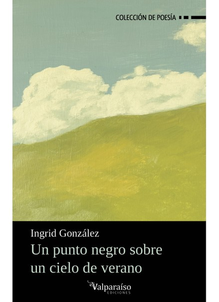 Portada de UN PUNTO NEGRO SOBRE UN CIELO DE VERANO