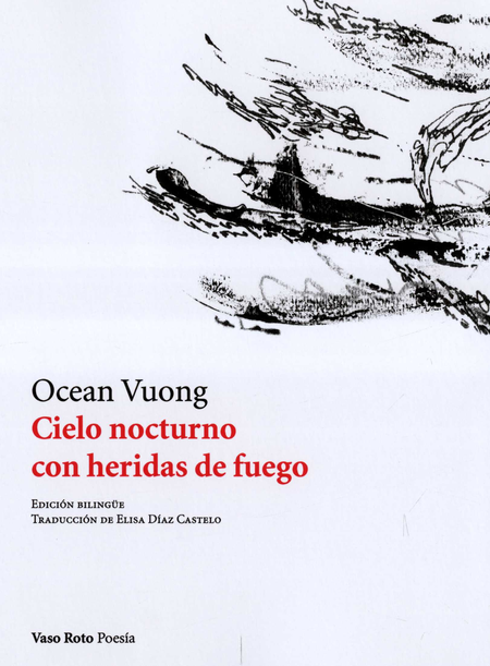 Portada de CIELO NOCTURNO CON HERIDAS DE FUEGO