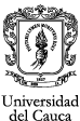 logo editorial Universidad del Cauca