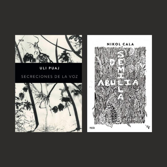 Presentación de "Semilla de abulia" de Nikol Cala y "Secreciones de la voz" de Uli Puaj